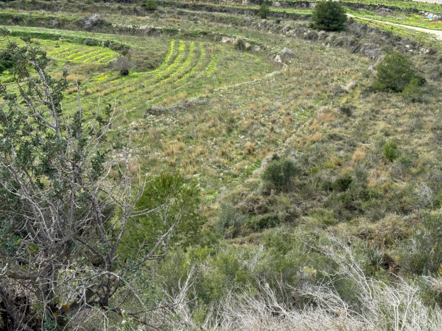 Parcela en Venta en Teulada