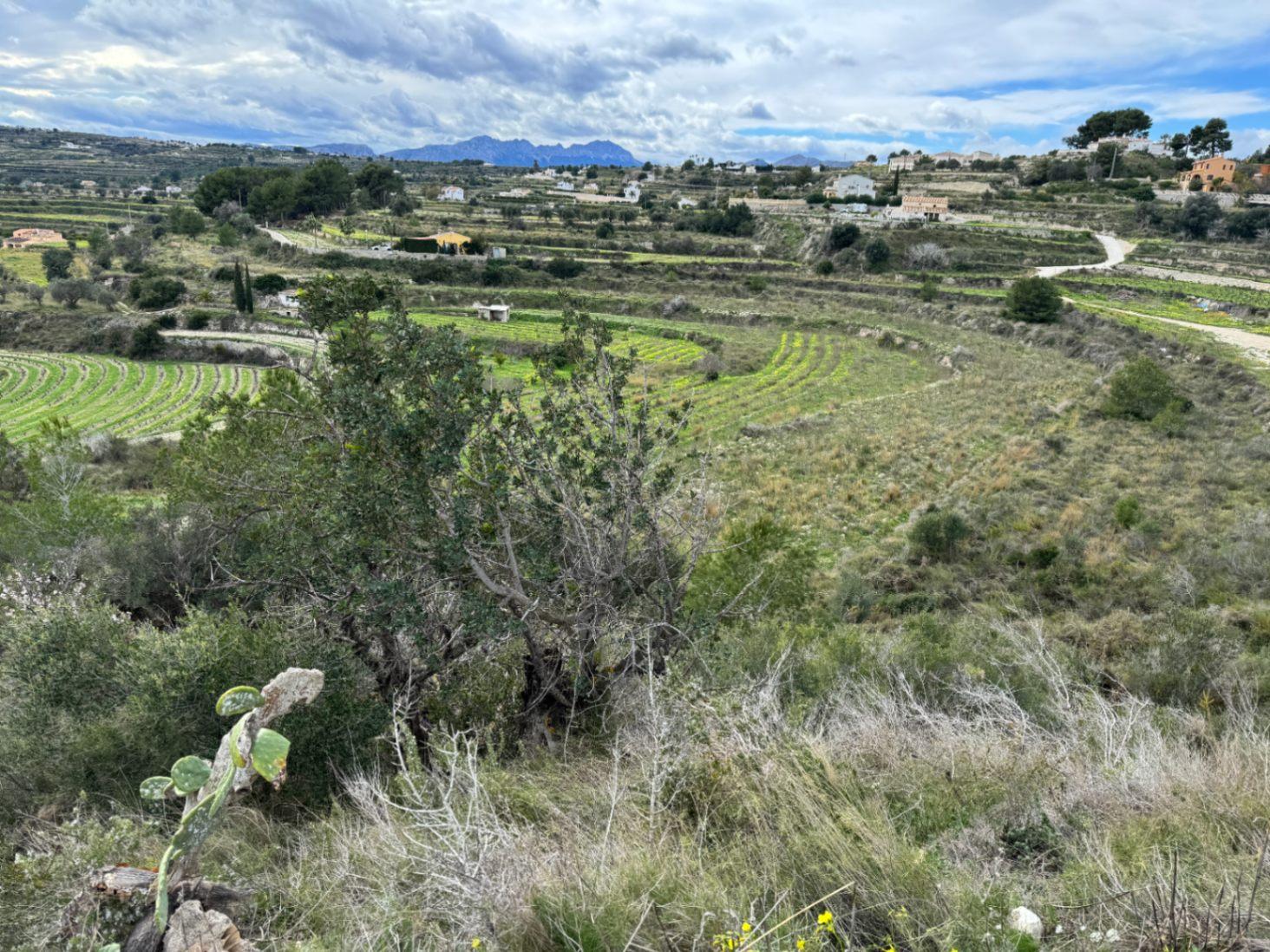 Parcela en Venta en Teulada