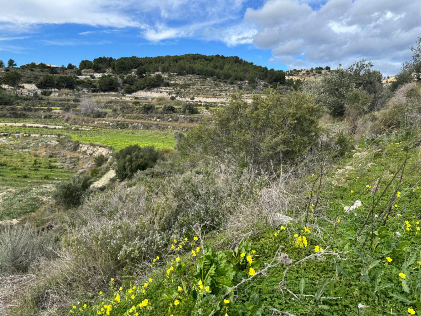 Parcela en Venta en Teulada