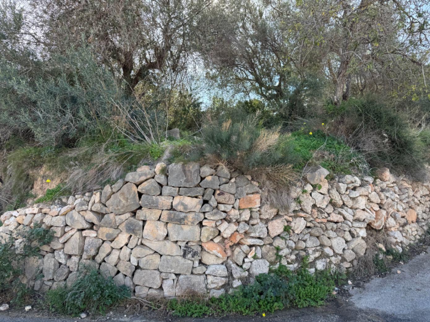 Parcela en Venta en Benissa