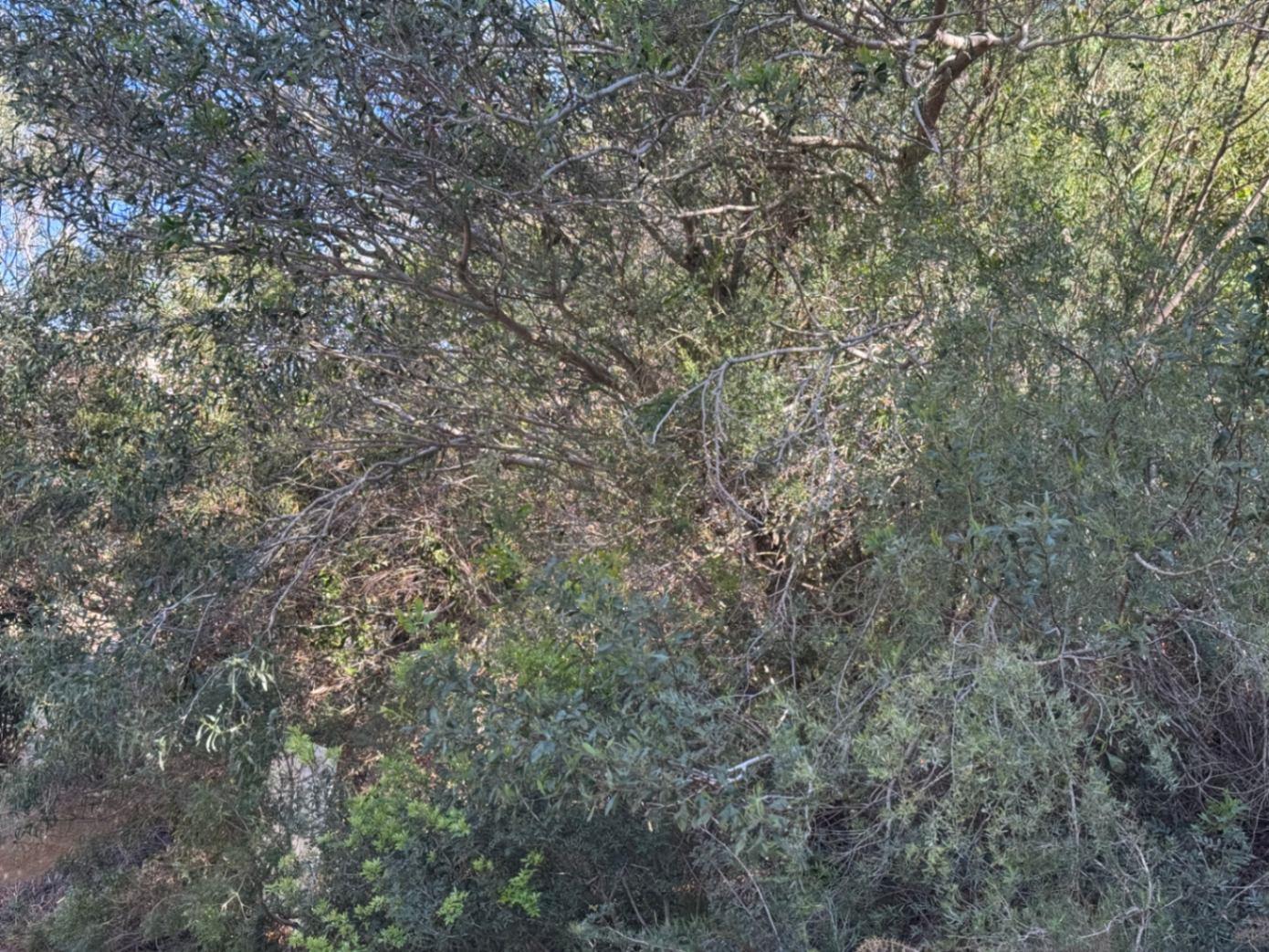 Parcela en Venta en Benitachell