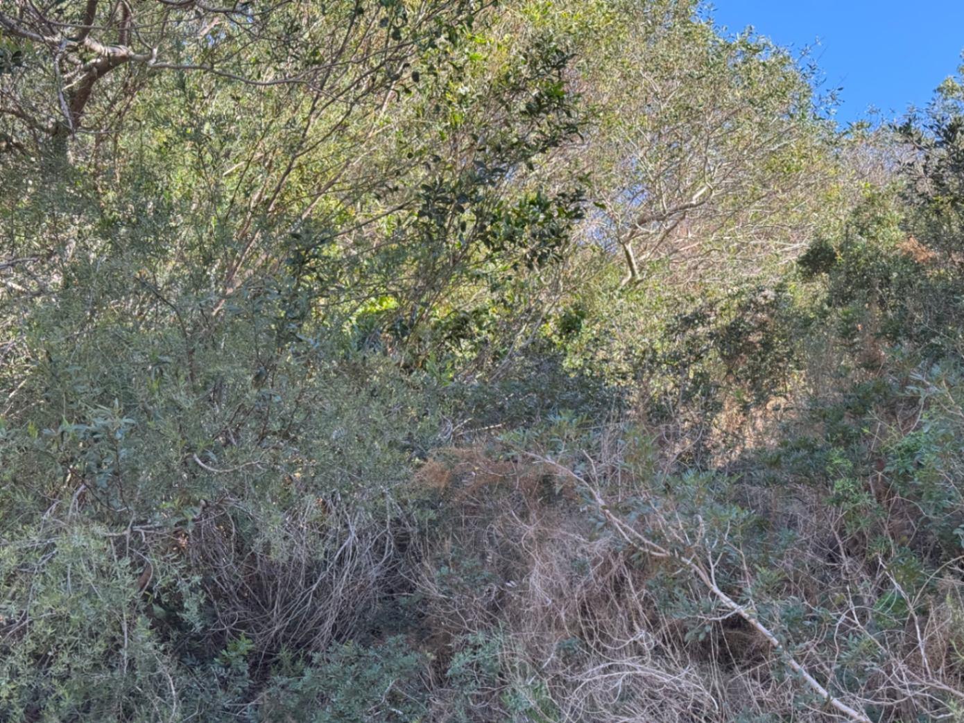 Parcela en Venta en Benitachell