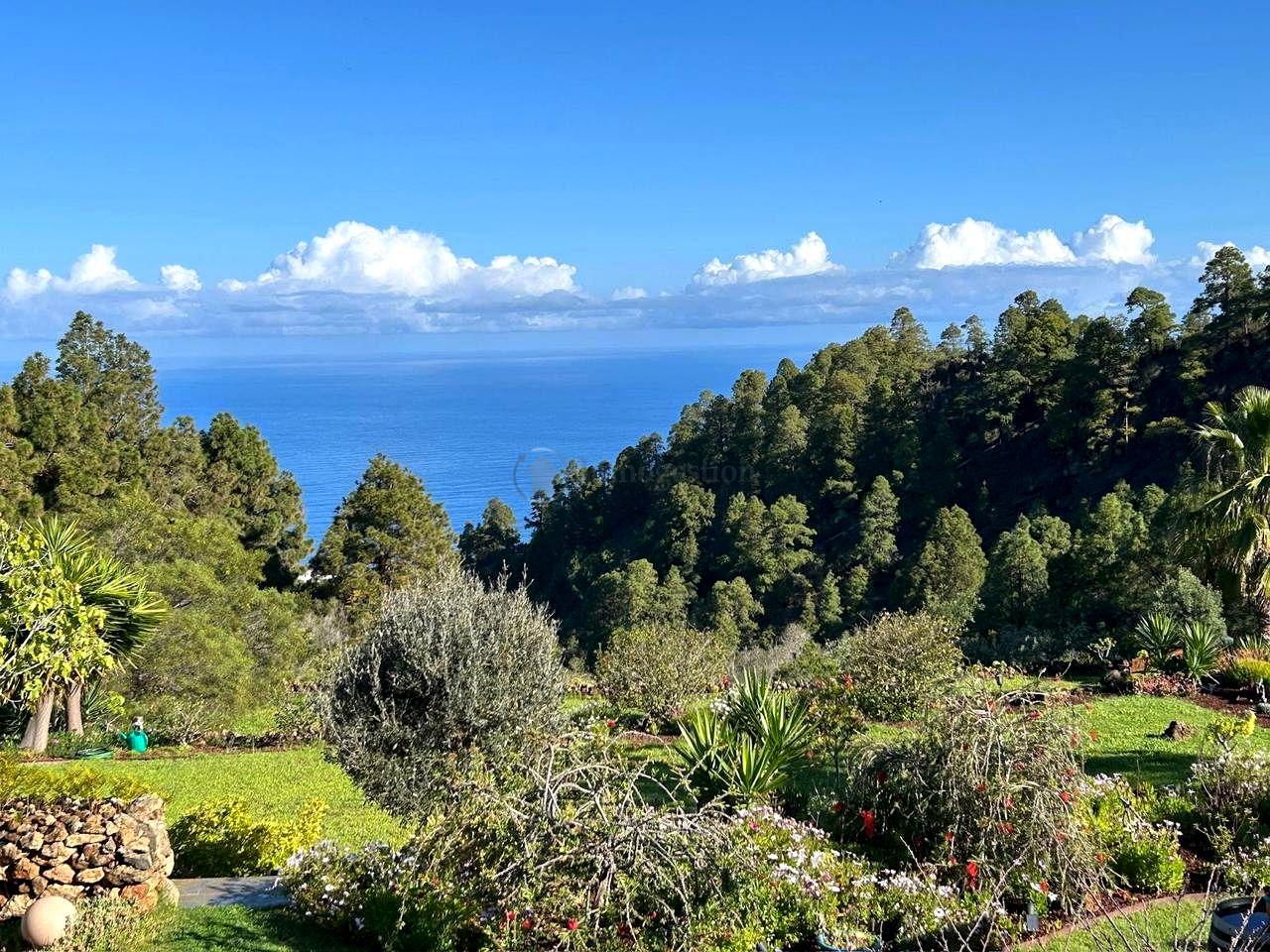 Villa for Sale in Icod de los Vinos