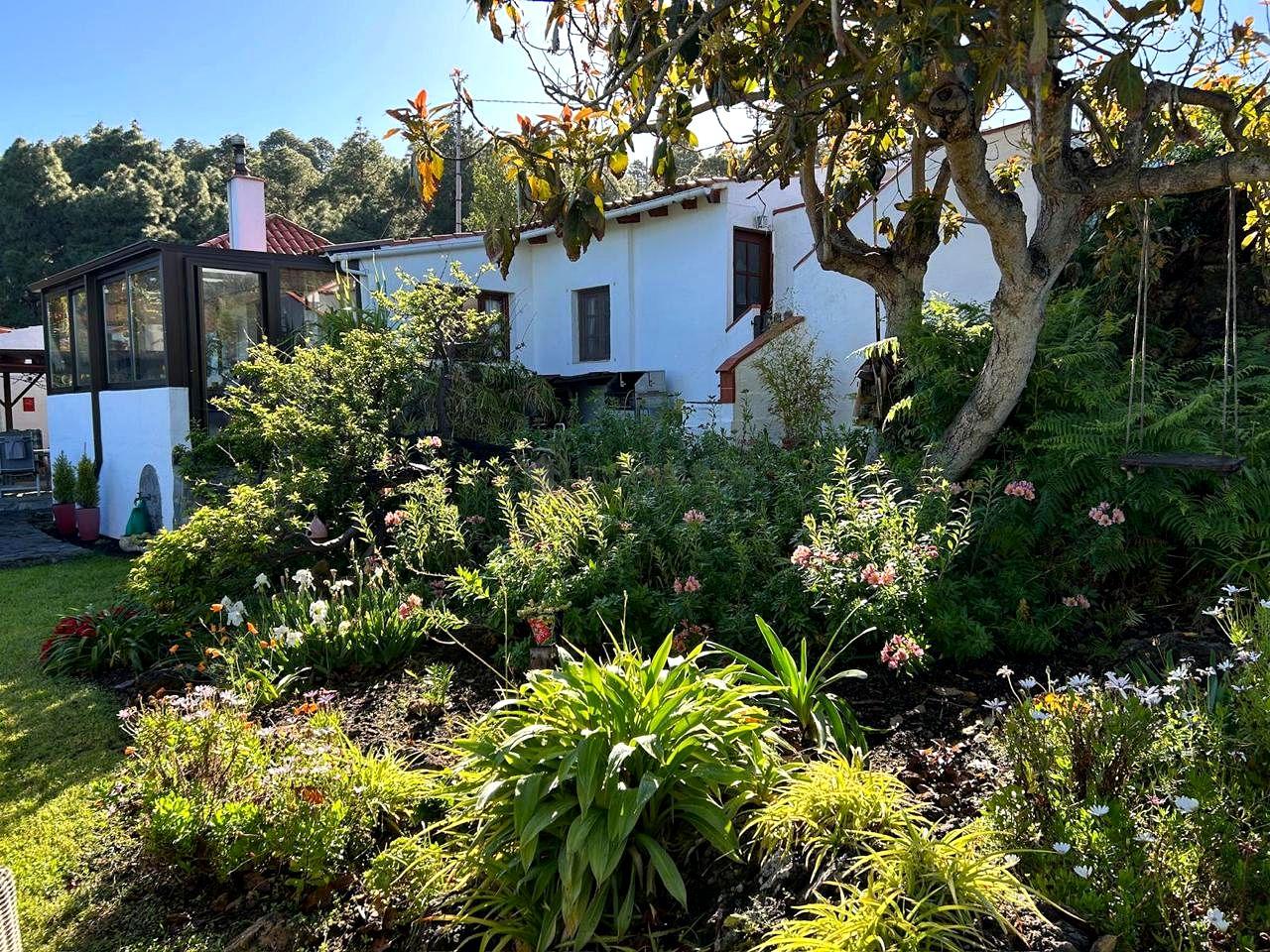 Villa for Sale in Icod de los Vinos