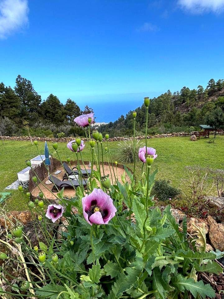 Villa for Sale in Icod de los Vinos