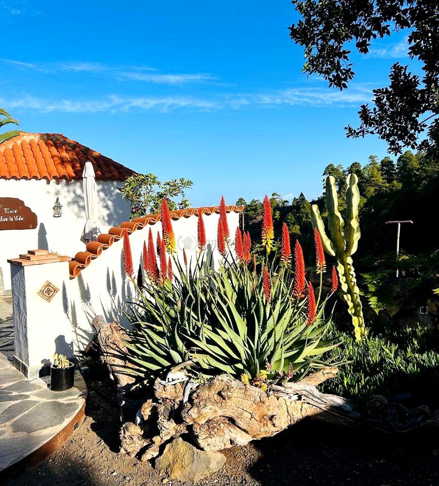 Villa for Sale in Icod de los Vinos