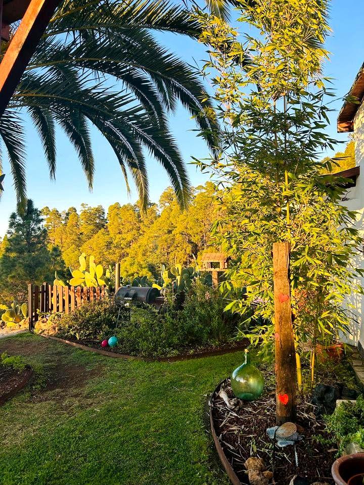 Villa for Sale in Icod de los Vinos