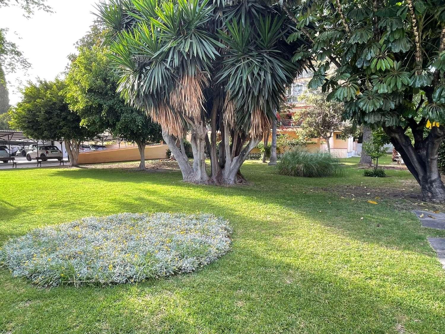 Penthouse for Sale in Málaga