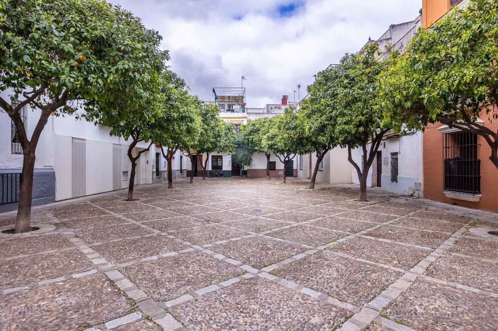 Piso en Venta en Sevilla