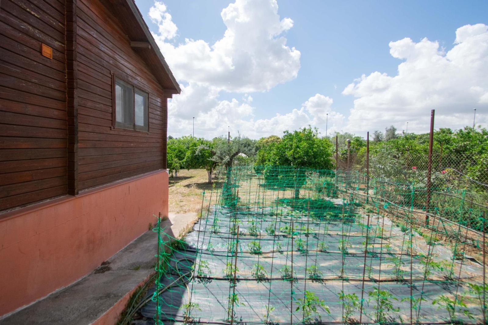Chalet for Sale in Mairena del Aljarafe