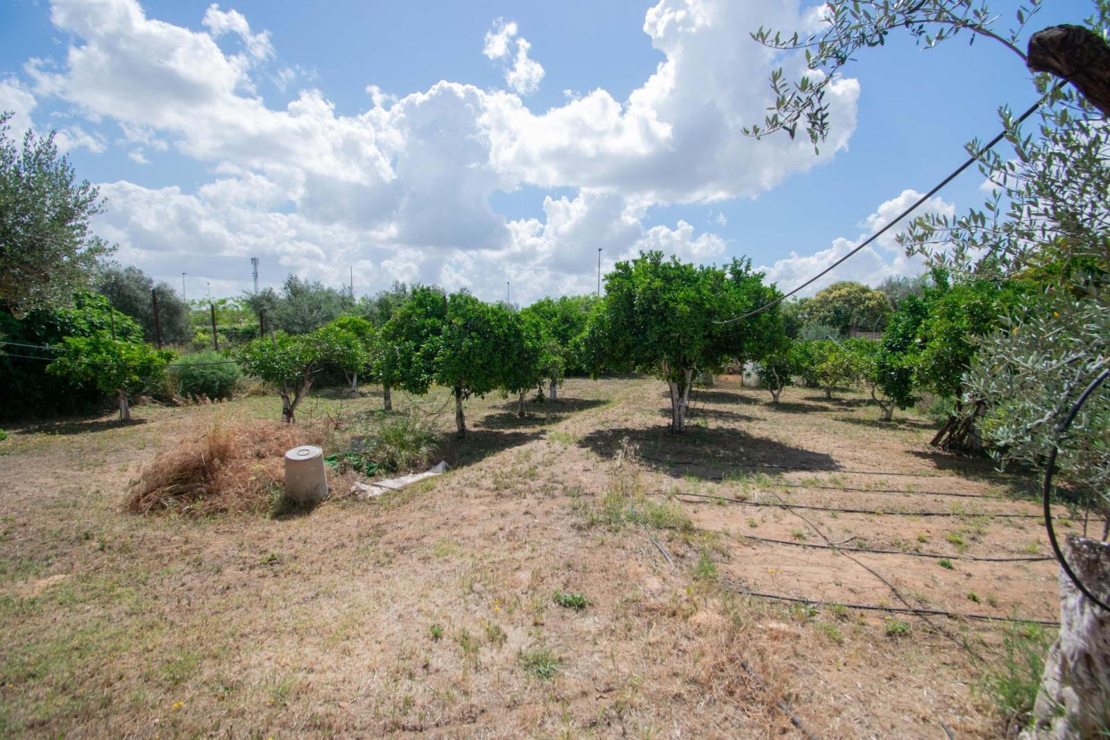 Chalet for Sale in Mairena del Aljarafe