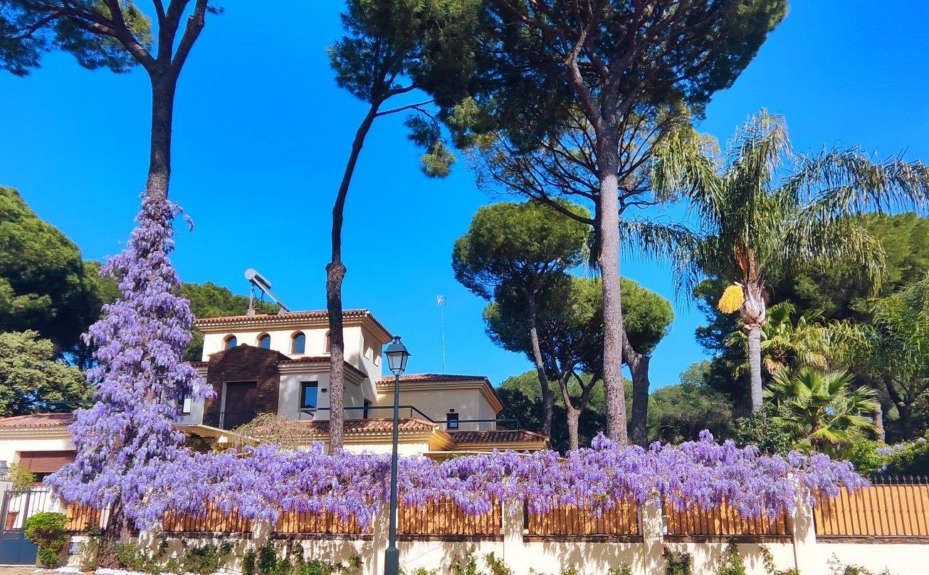 Villa for Sale in Bollullos de la Mitación