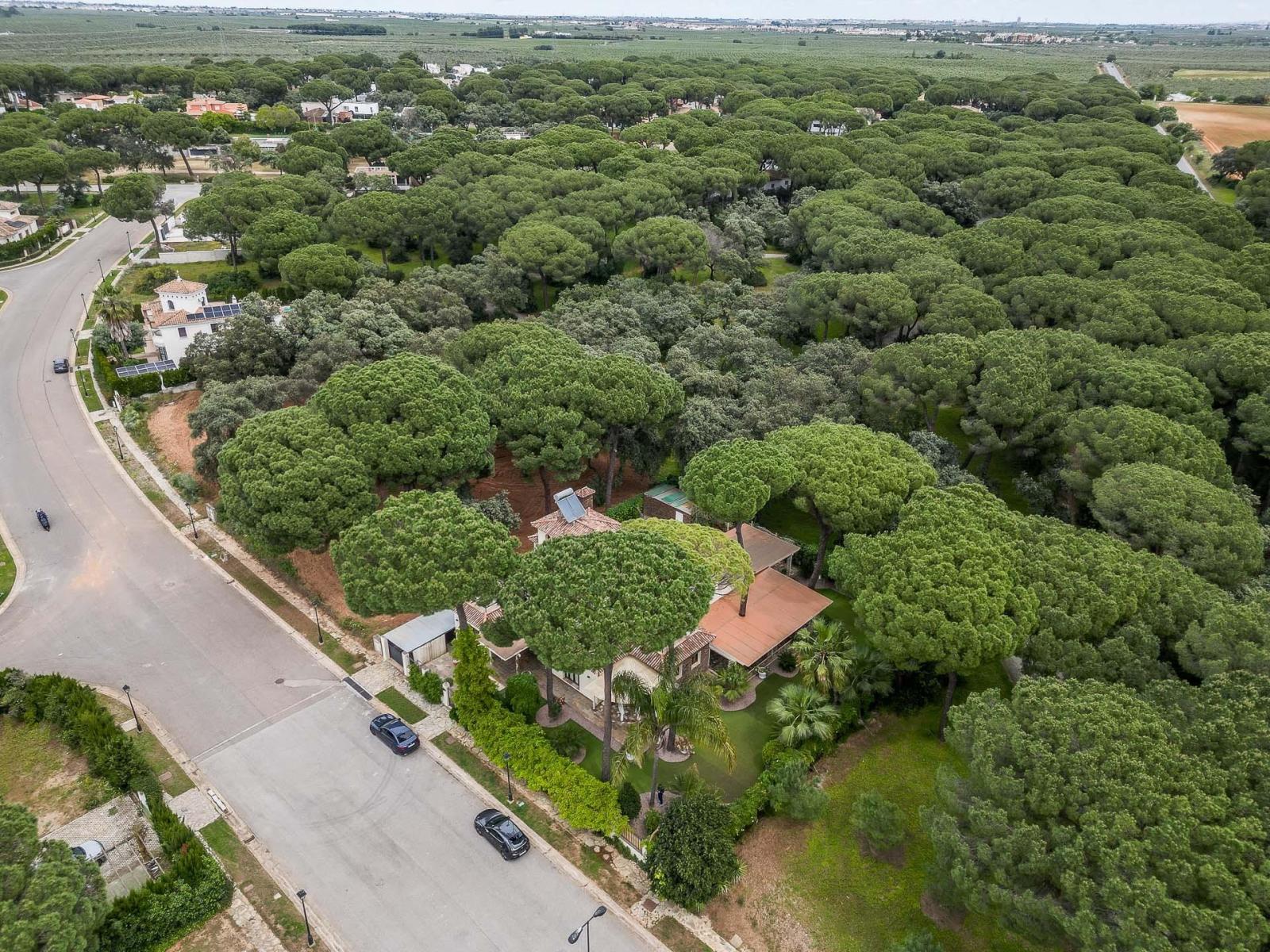 Villa for Sale in Bollullos de la Mitación