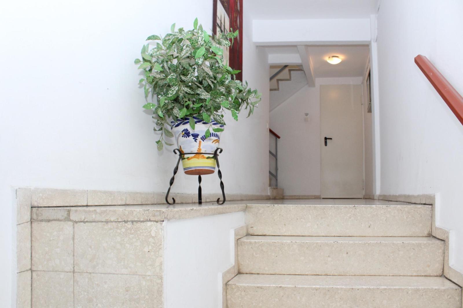 Flat for Rent in Sevilla