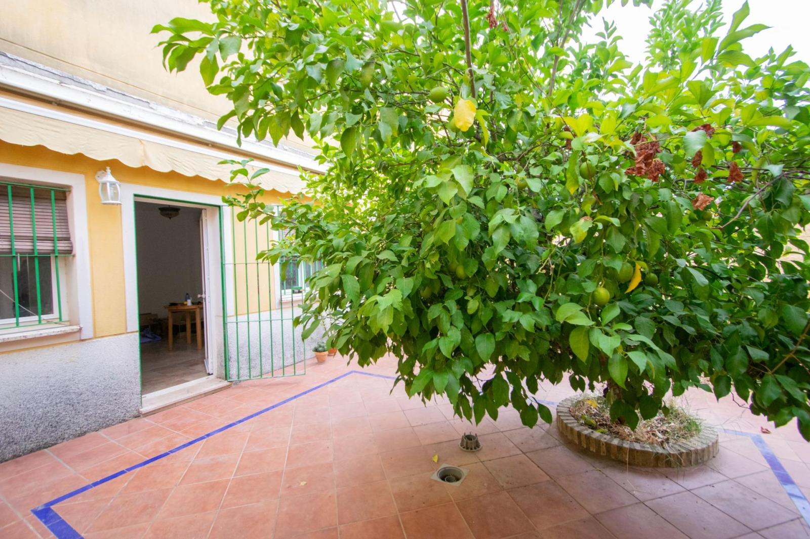 Pareado en Venta en Villanueva del Ariscal