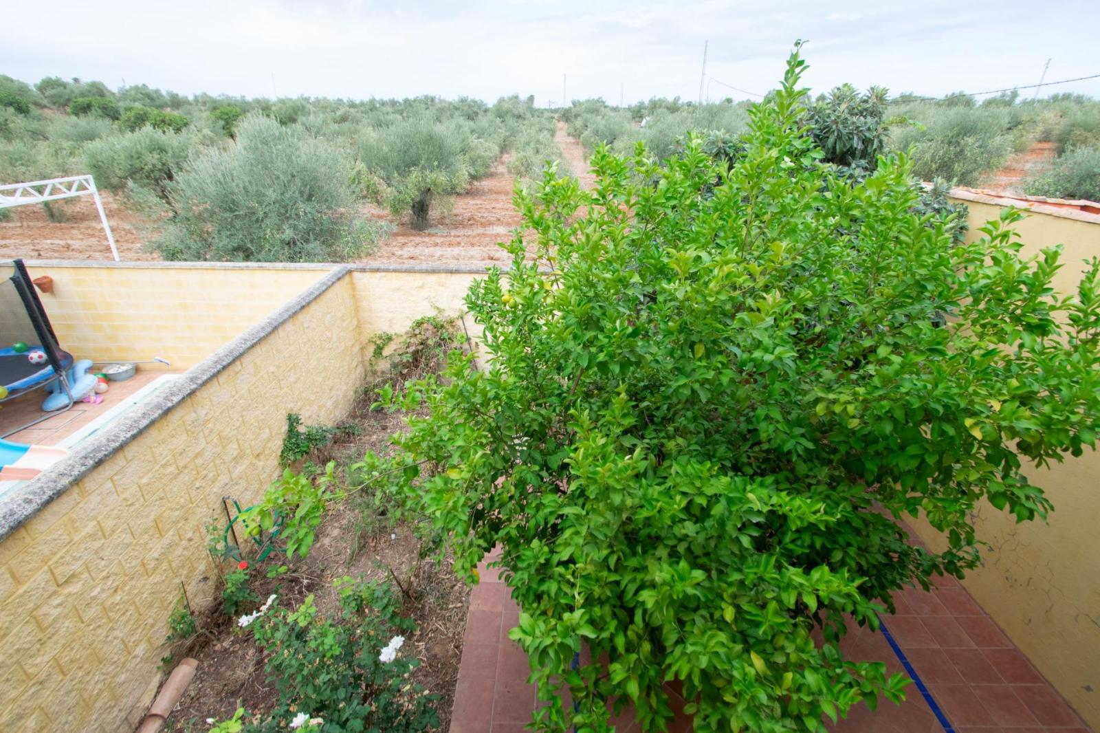 Pareado en Venta en Villanueva del Ariscal