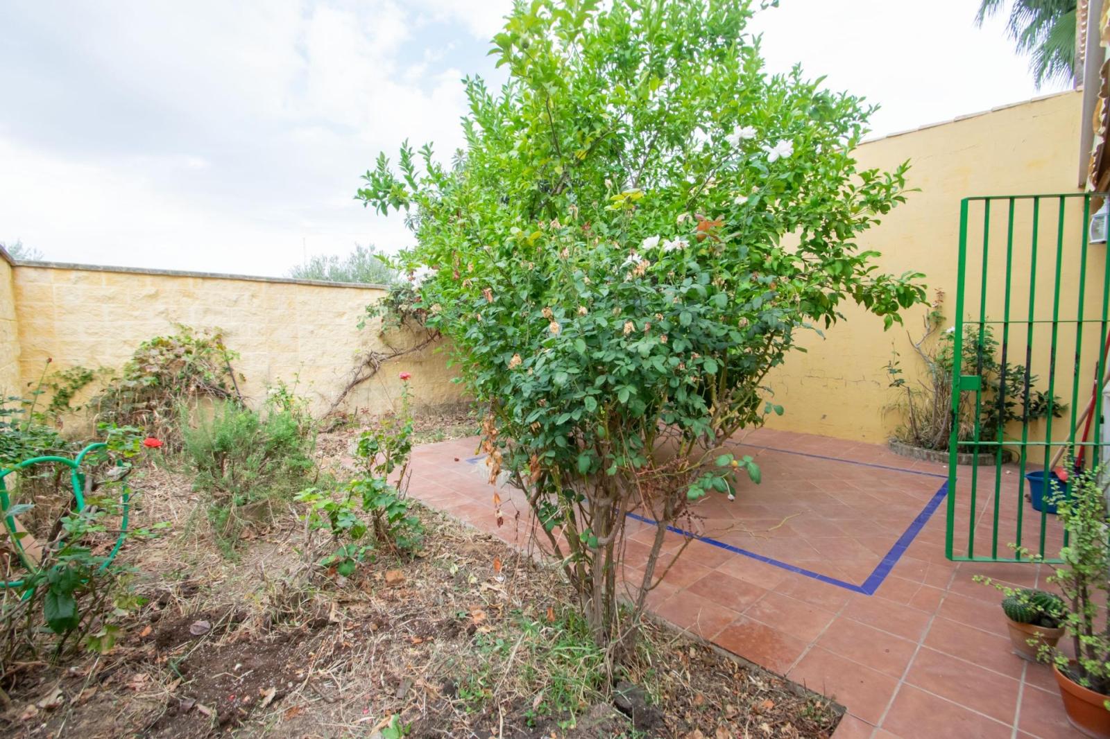 Pareado en Venta en Villanueva del Ariscal