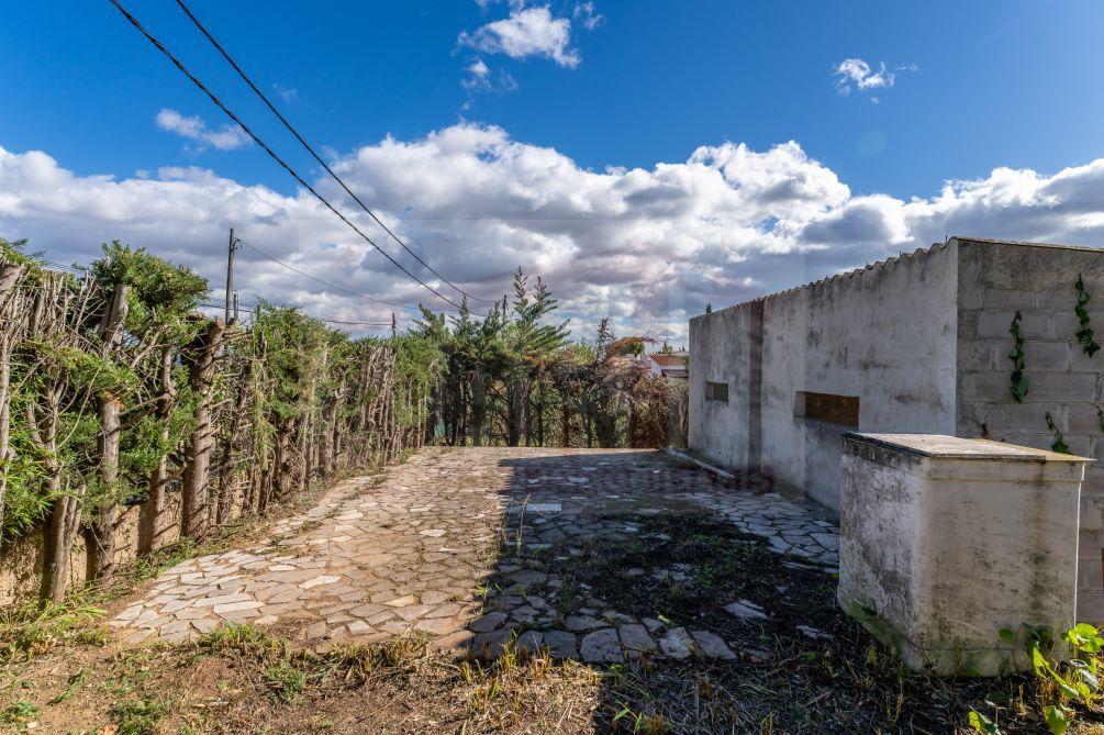 Plot for Sale in Alcover