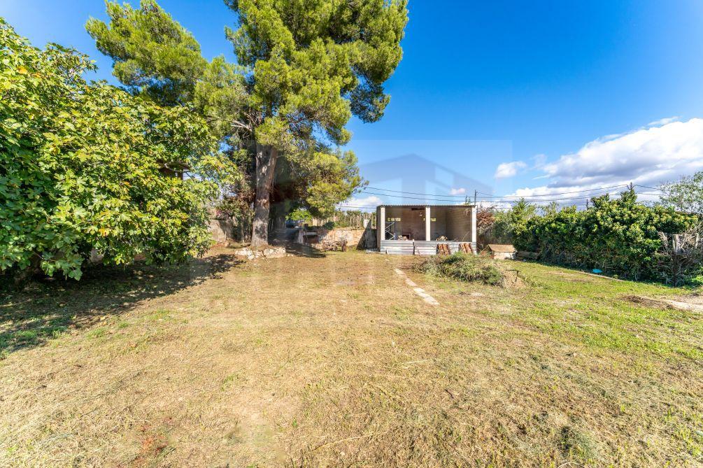 Plot for Sale in Alcover
