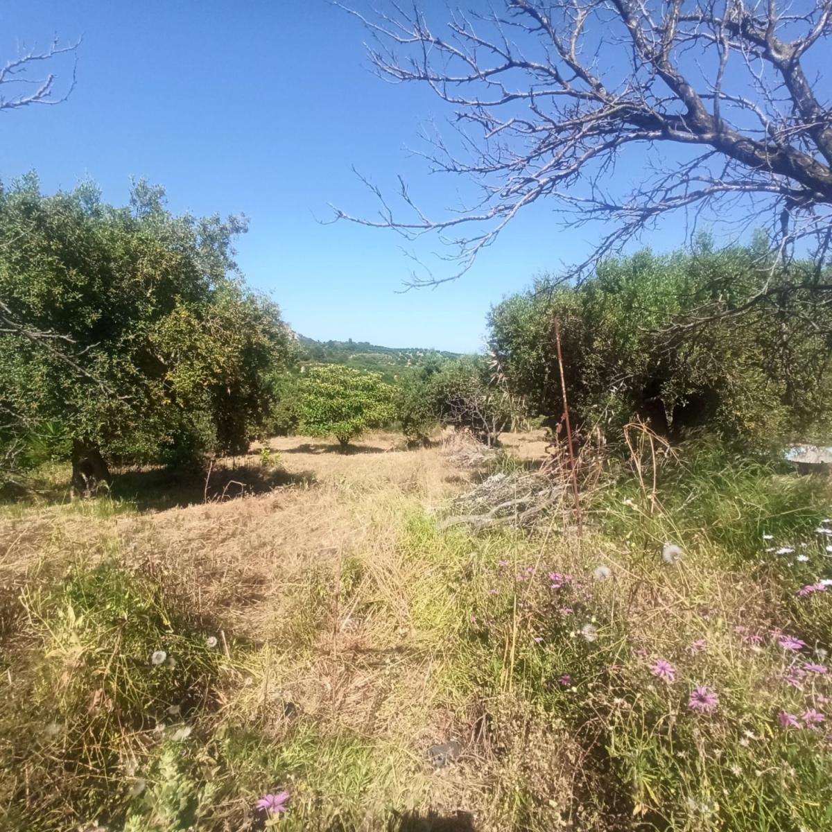 Parcela en Venta en Maspujols
