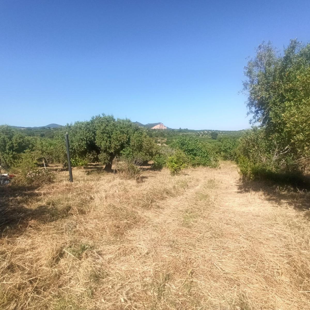 Parcela en Venta en Maspujols