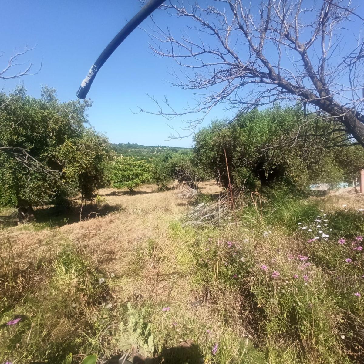 Parcela en Venta en Maspujols