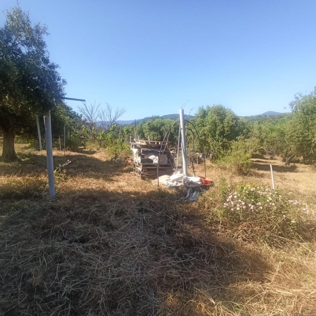 Parcela en Venta en Maspujols