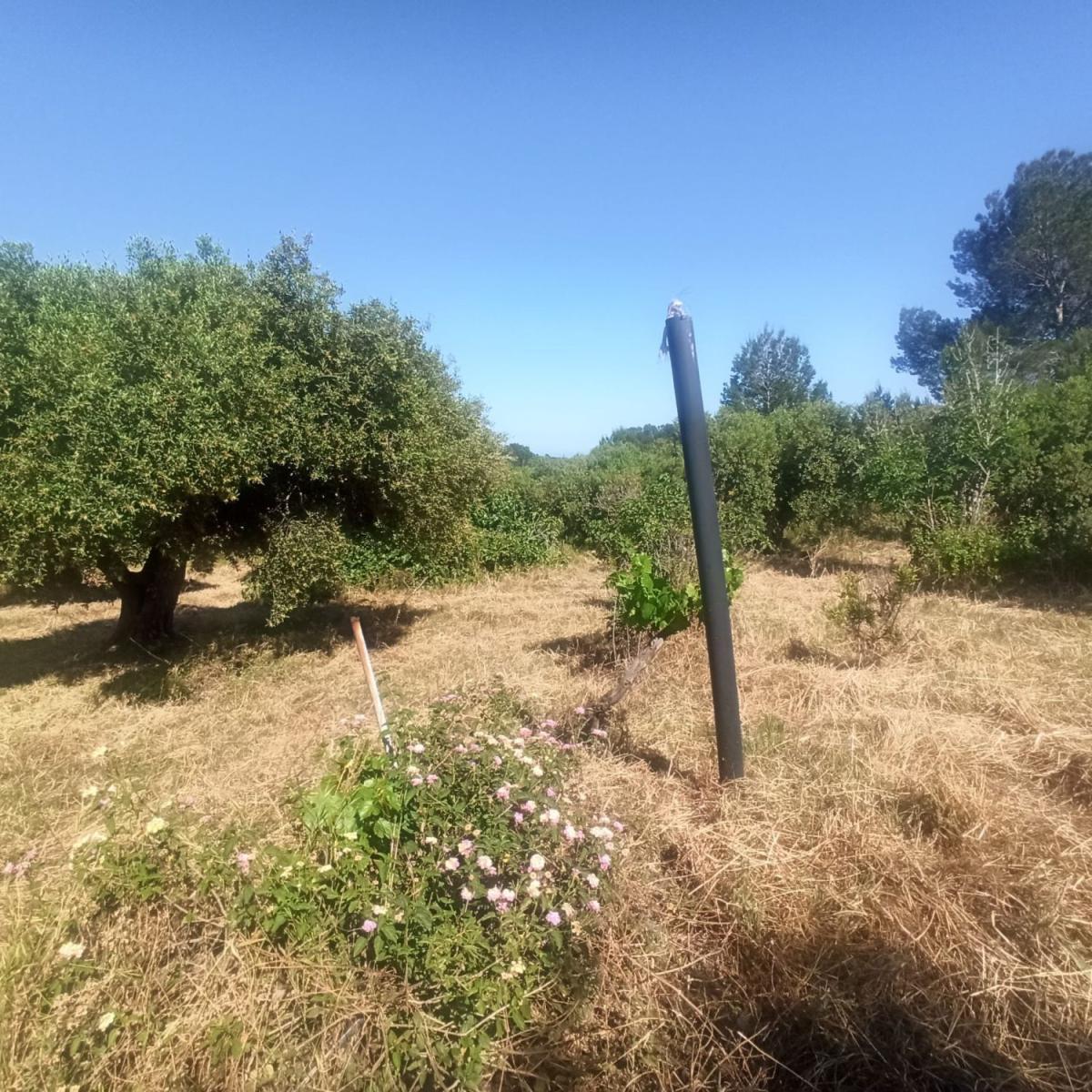Parcela en Venta en Maspujols