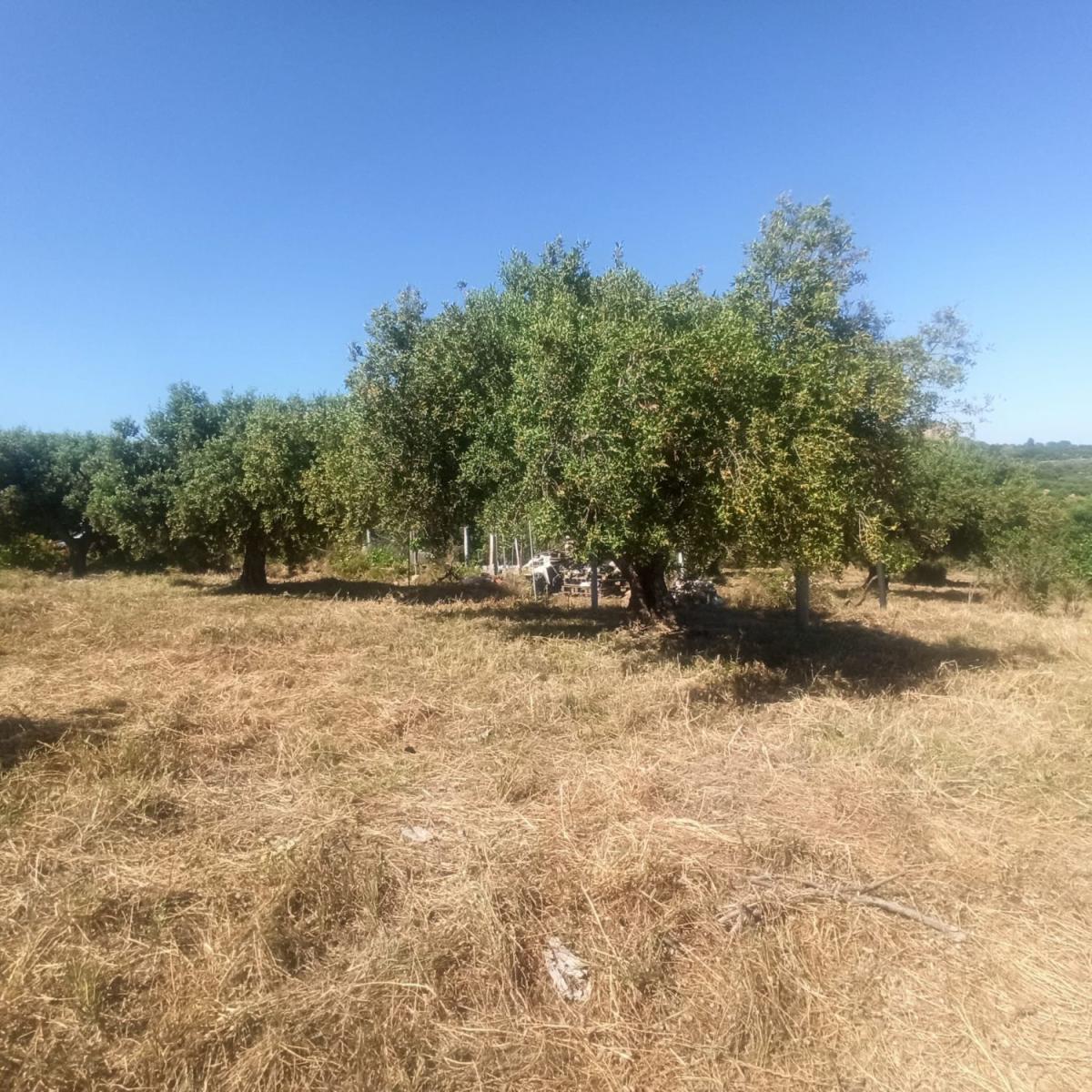 Parcela en Venta en Maspujols