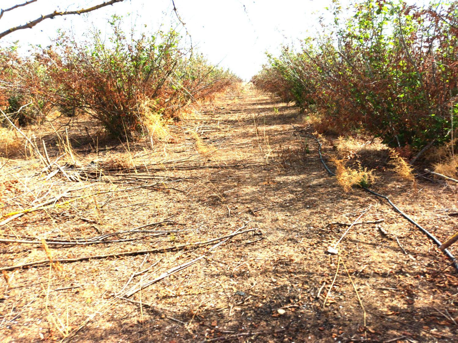 Finca en Venta en Constantí