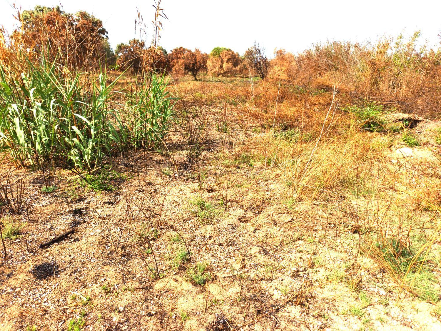 Finca en Venta en Constantí