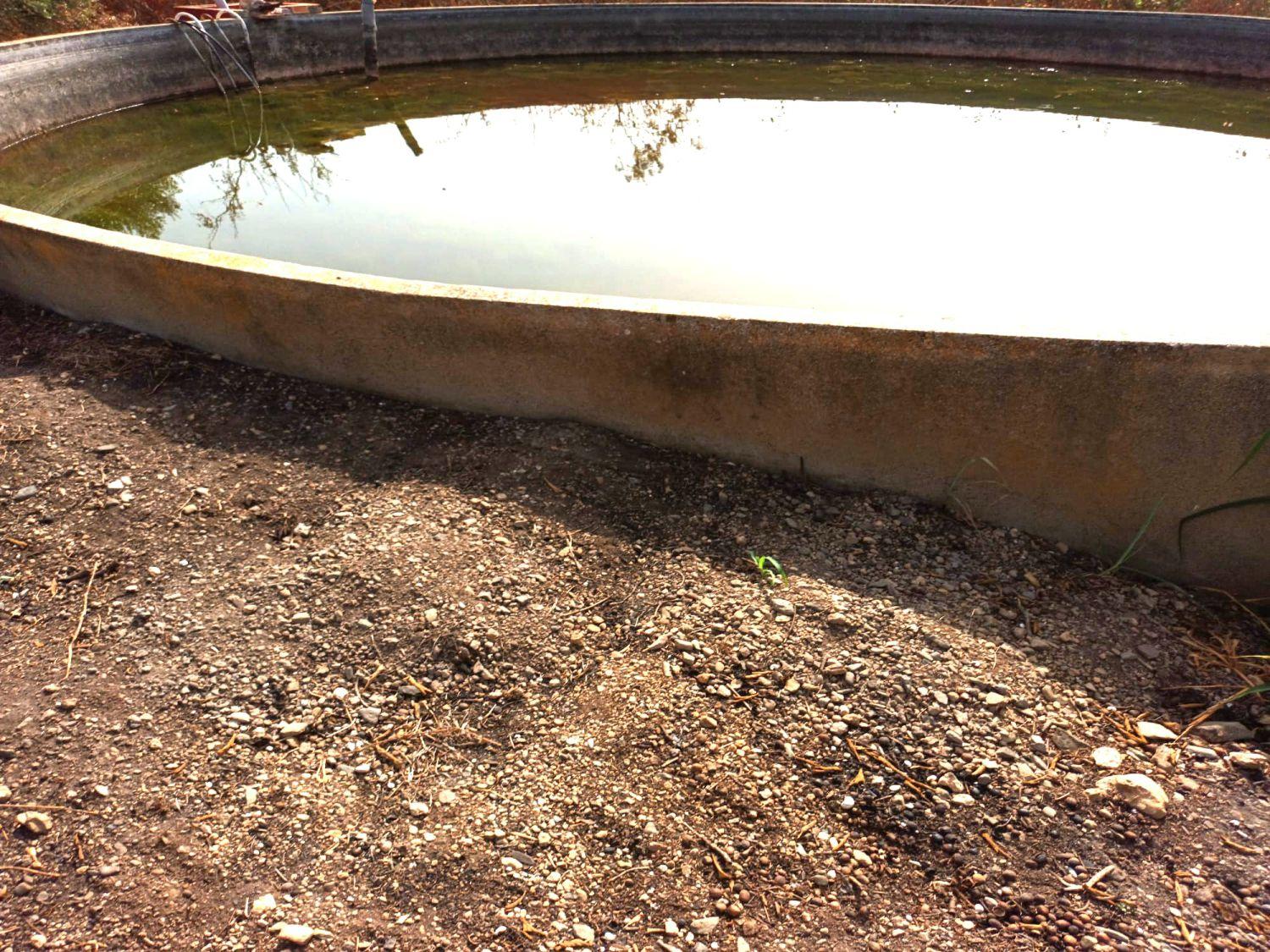 Finca en Venta en Constantí
