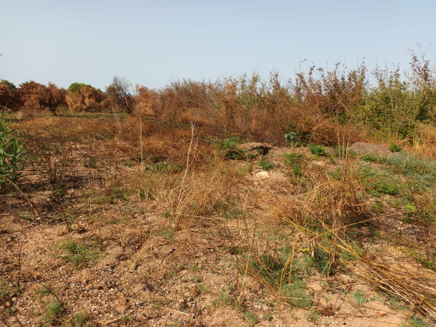 Finca en Venta en Constantí