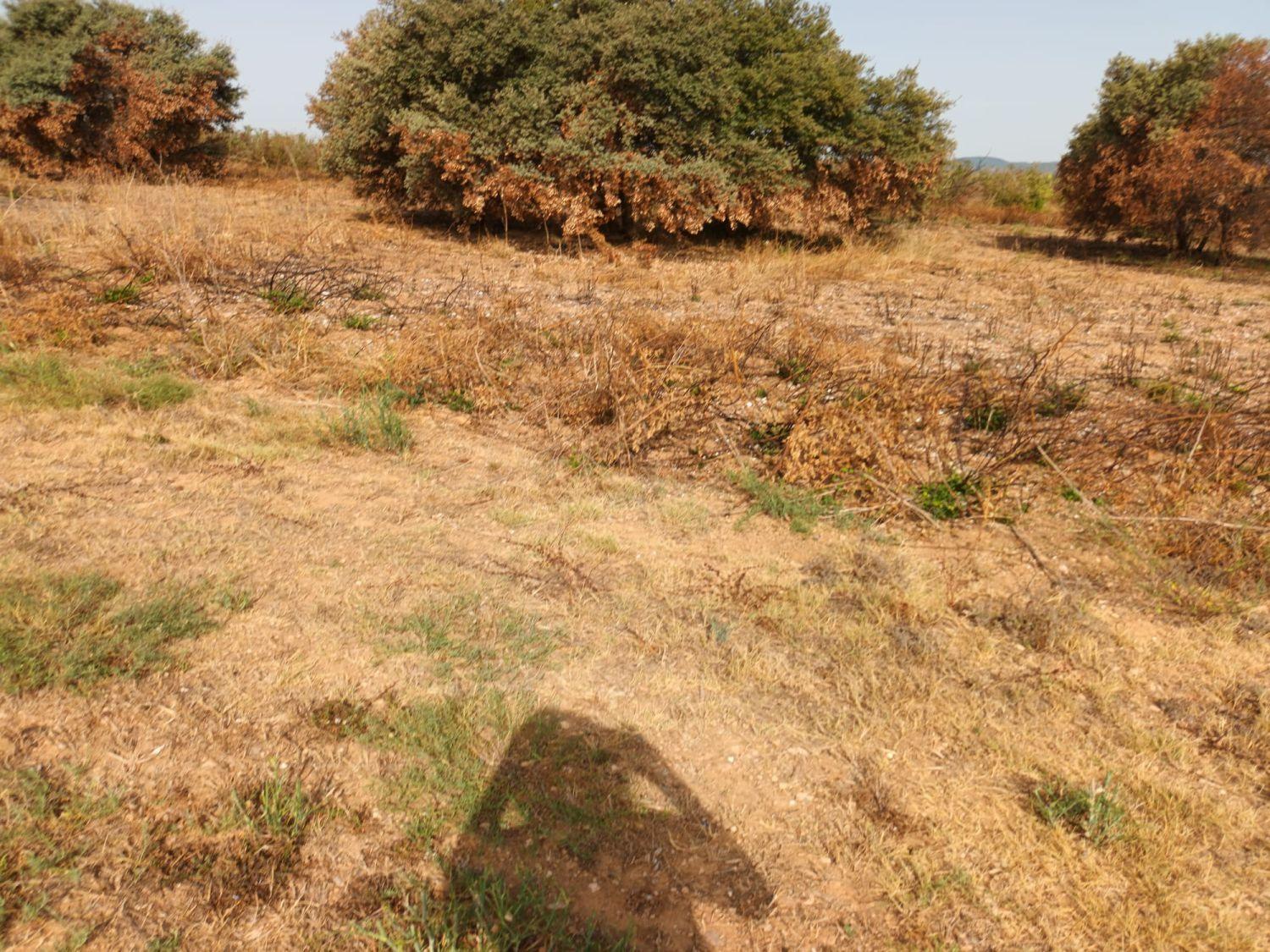 Finca en Venta en Constantí