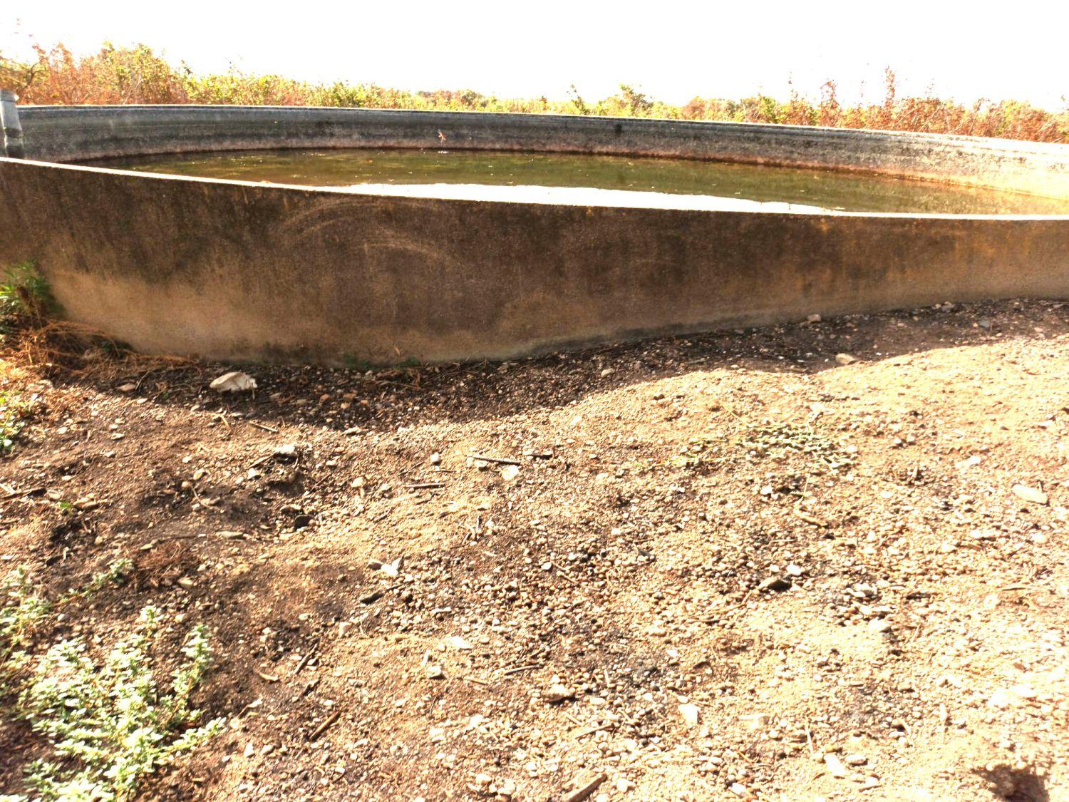 Finca en Venta en Constantí