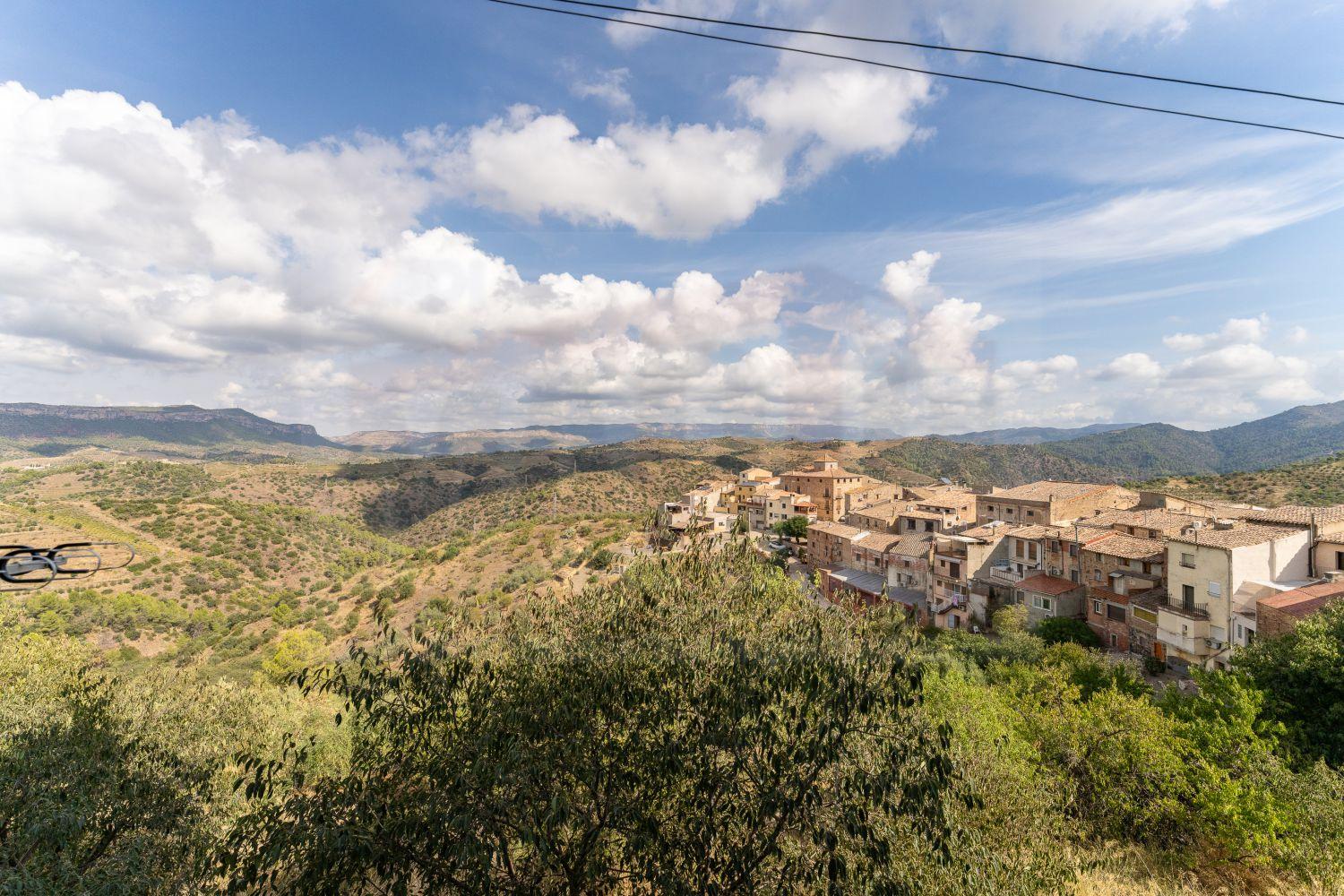 Premise for Sale in Bellmunt del Priorat