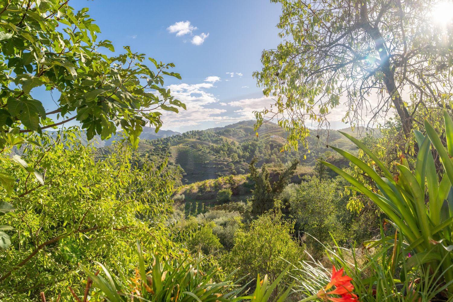 Casa en Venta en Bellmunt del Priorat