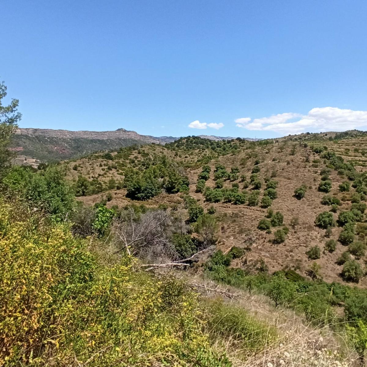 Finca en Venta en Gratallops