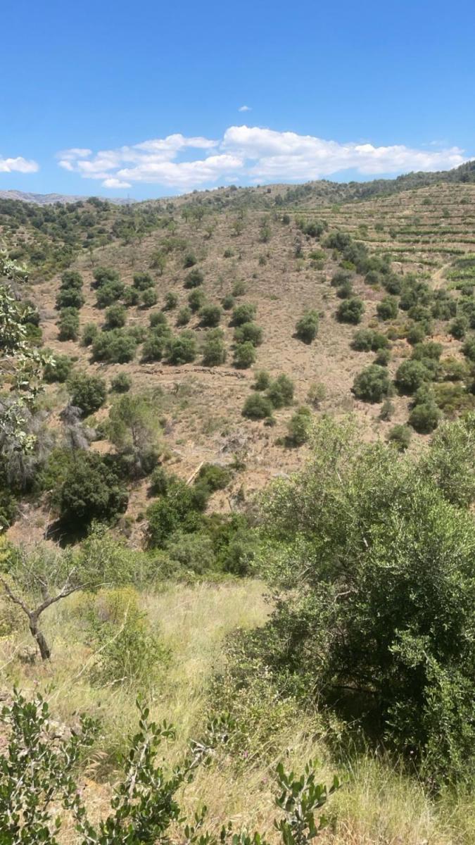 Finca en Venta en Gratallops