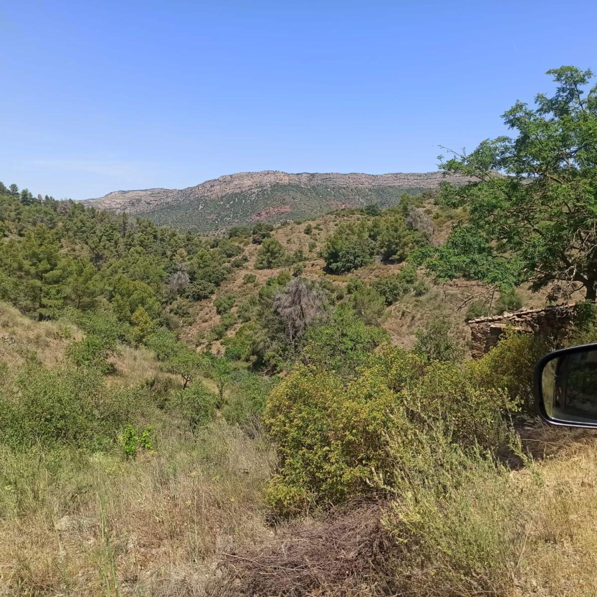 Finca en Venta en Gratallops