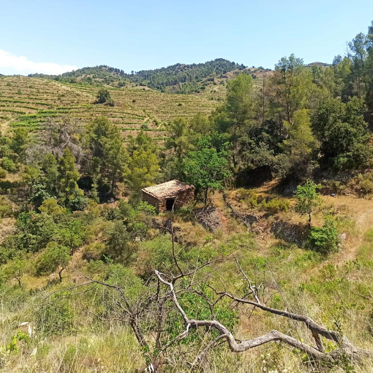 Finca en Venta en Gratallops