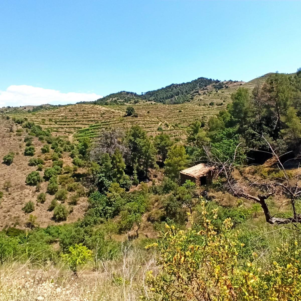 Finca en Venta en Gratallops