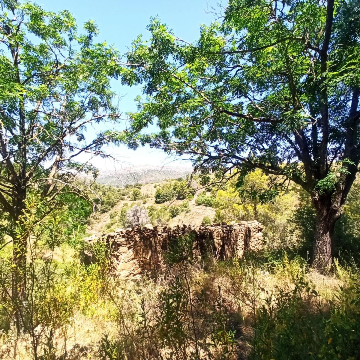 Finca en Venta en Gratallops