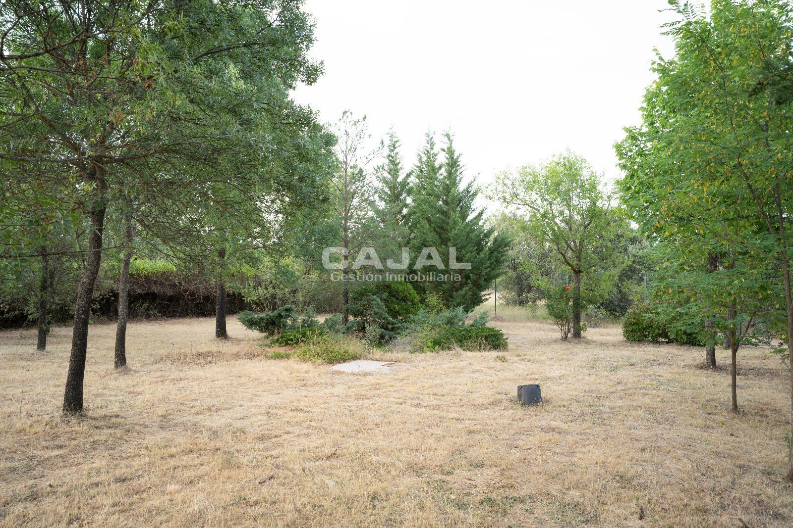 Chalet for Sale in Fresno de Cantespino