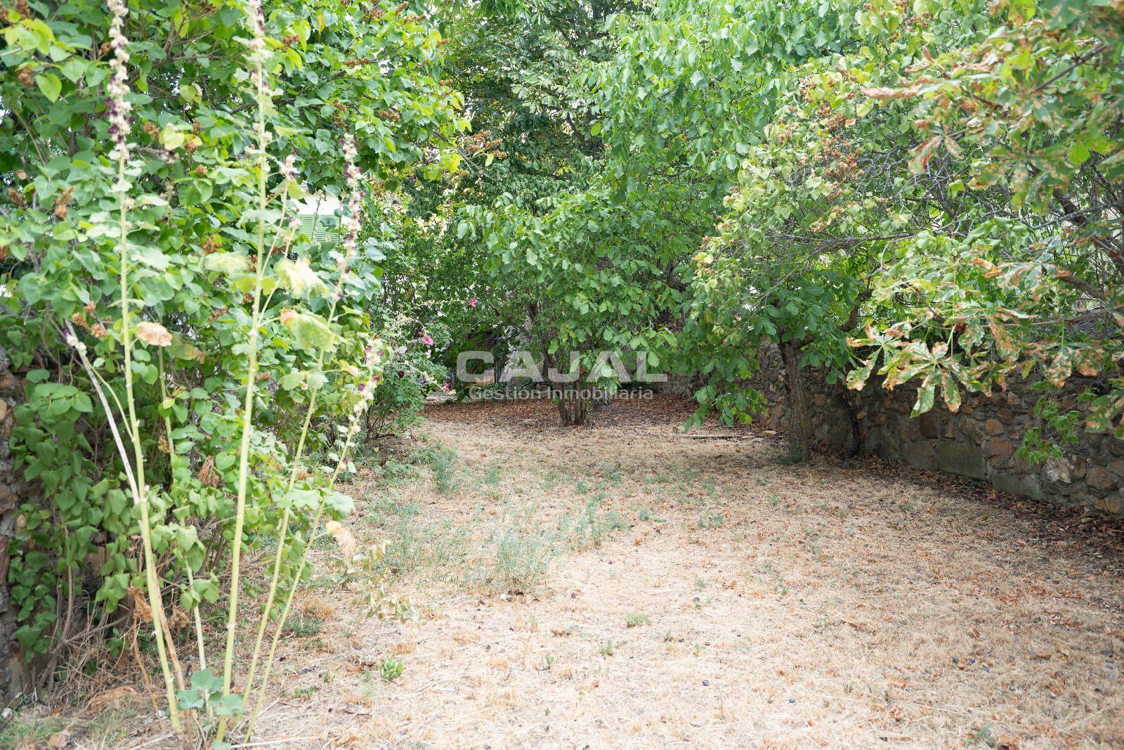Plot for Sale in Riaza