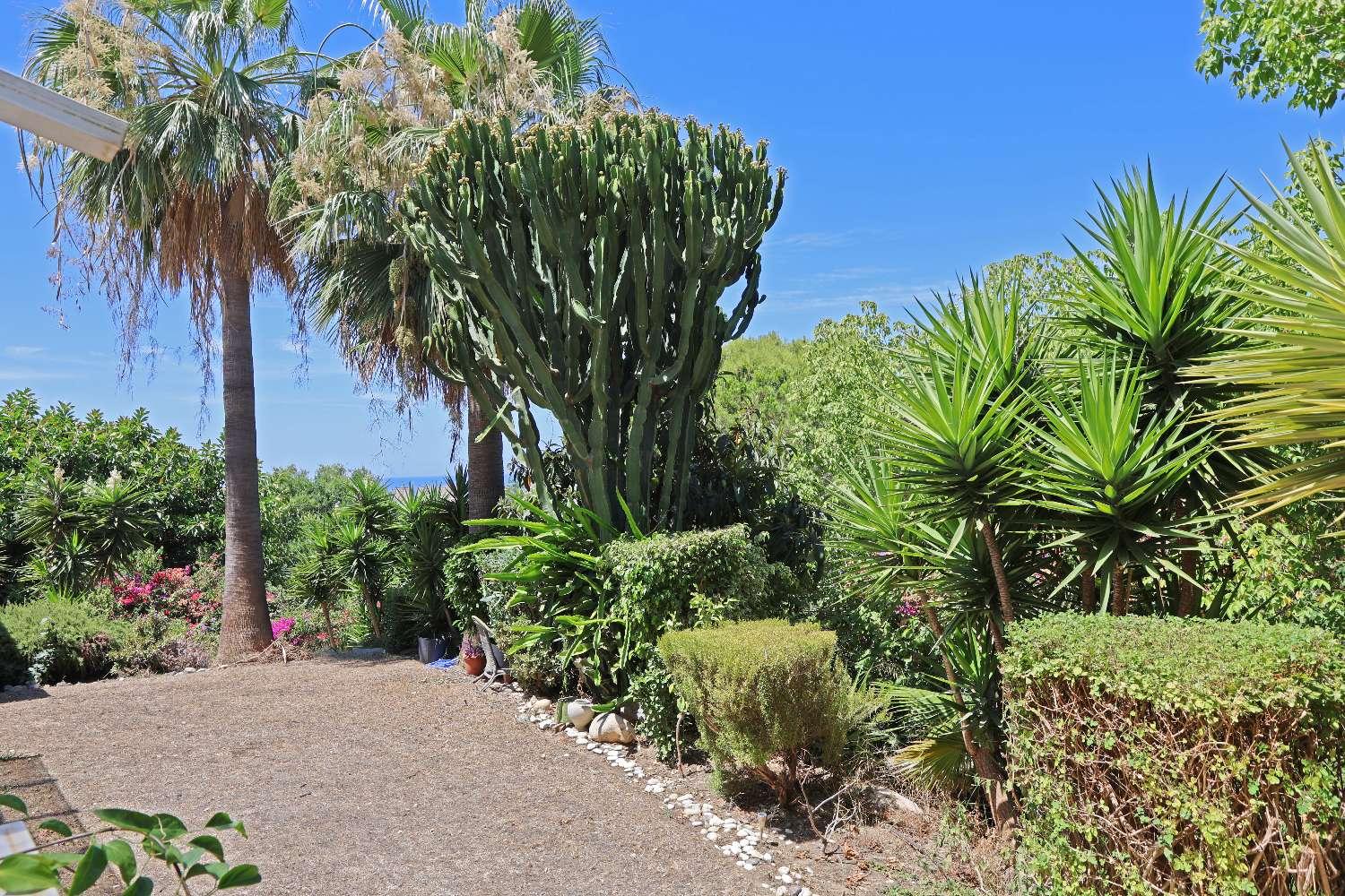 Apartment for Sale in Torrox