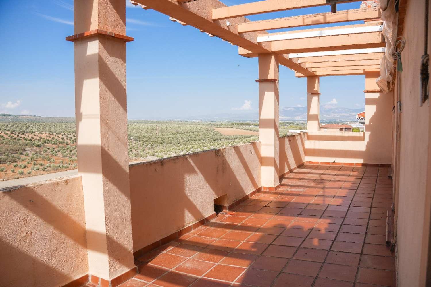 Villa for Sale in Cúllar Vega