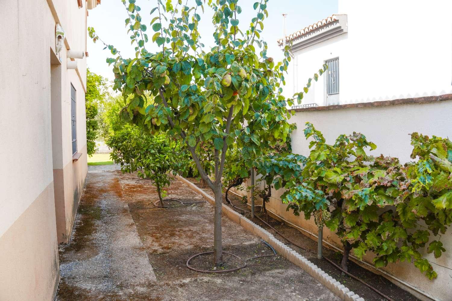Villa for Sale in Cúllar Vega
