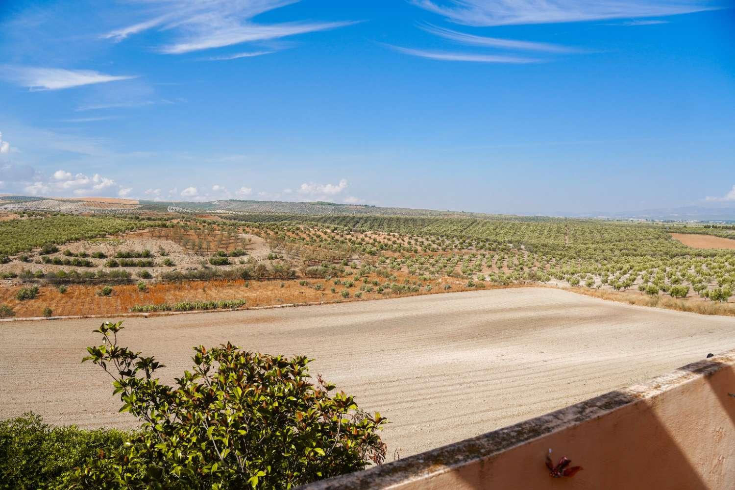 Villa for Sale in Cúllar Vega
