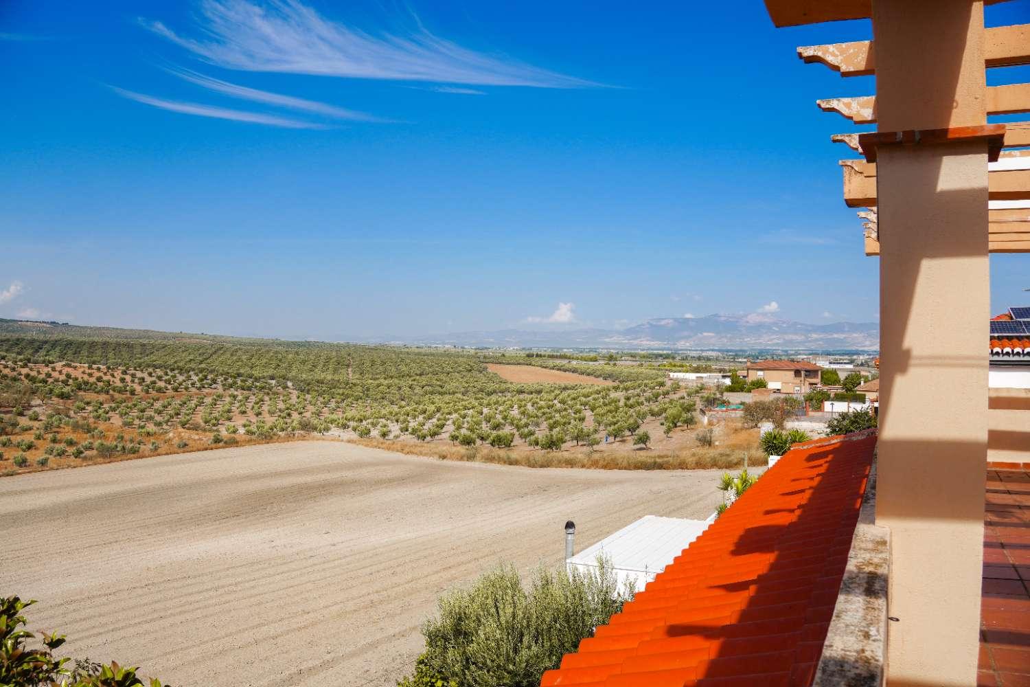 Villa for Sale in Cúllar Vega